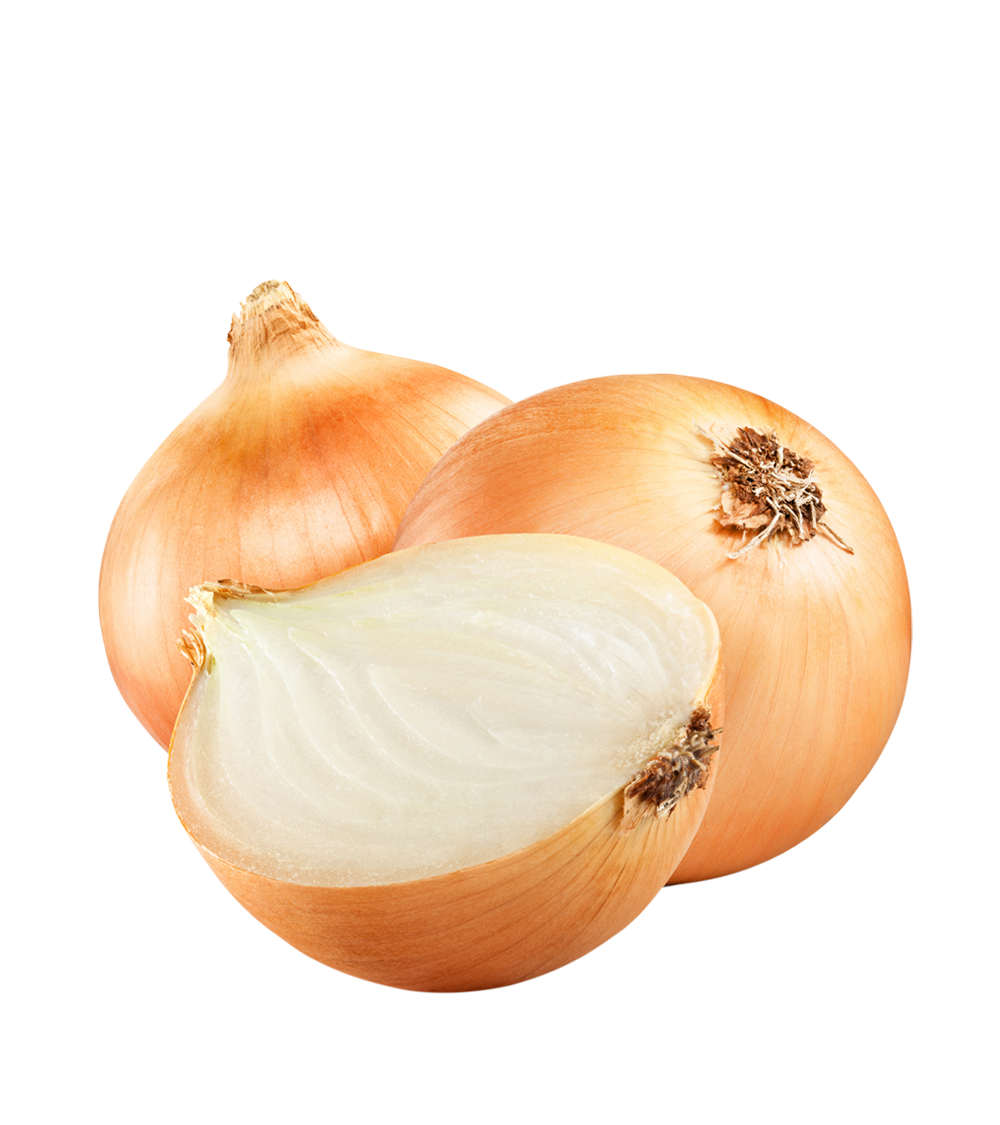 Brown Slice Onion Photos PNG File HD Transparent PNG Image