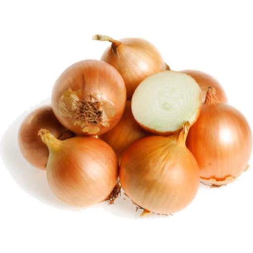 Brown Slice Onion Free Clipart HD Transparent PNG Image