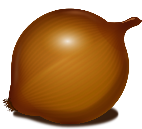 Brown Vector Onion Free Photo Transparent PNG Image