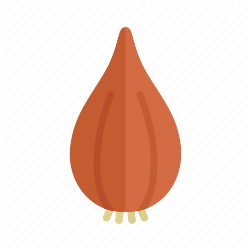 Brown Vector Onion Download HQ Transparent PNG Image