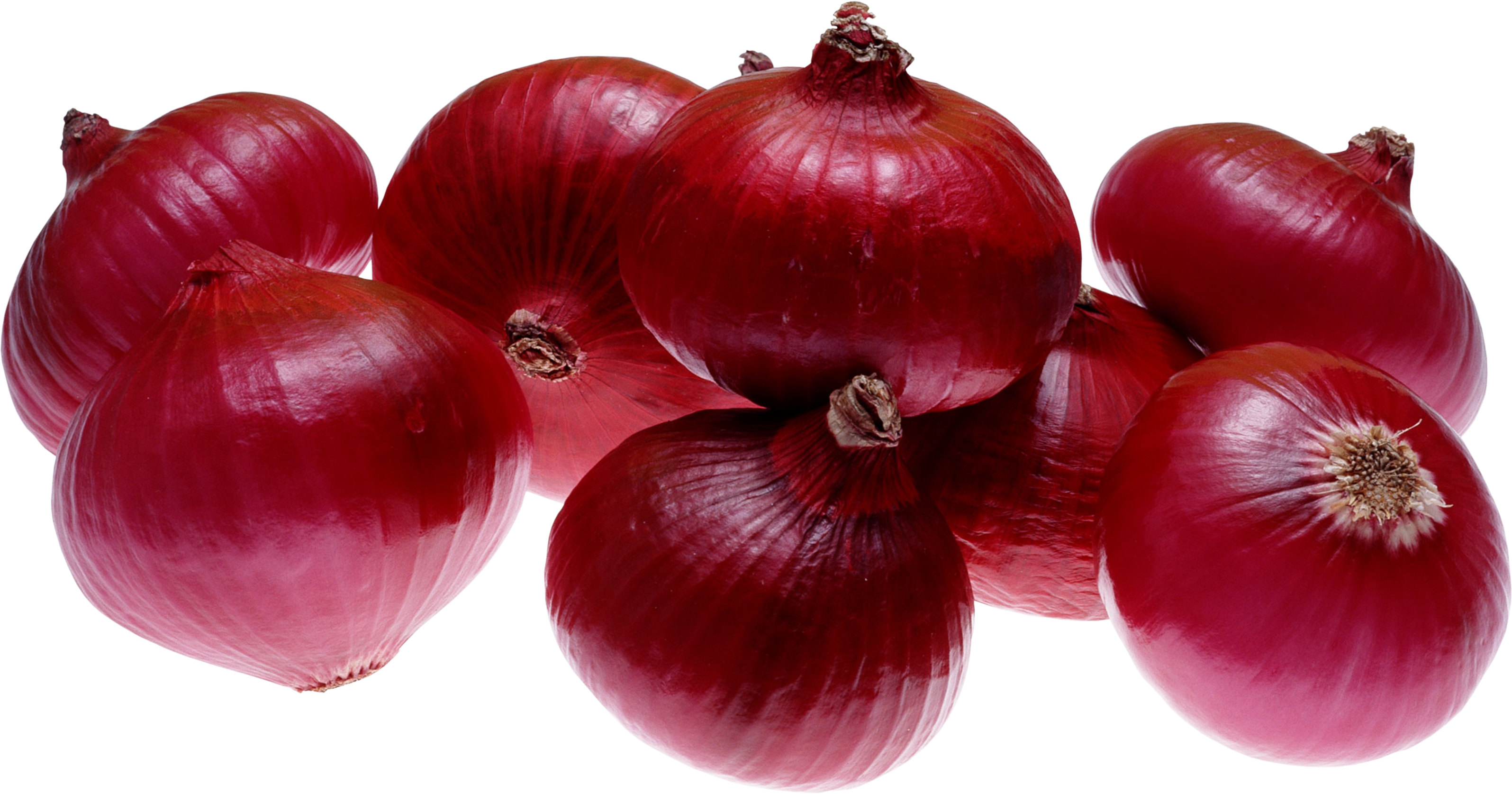 Fresh Onion PNG Image High Quality Transparent PNG Image