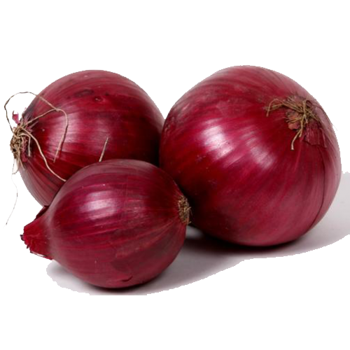 Fresh Onion Free Download Image Transparent PNG Image