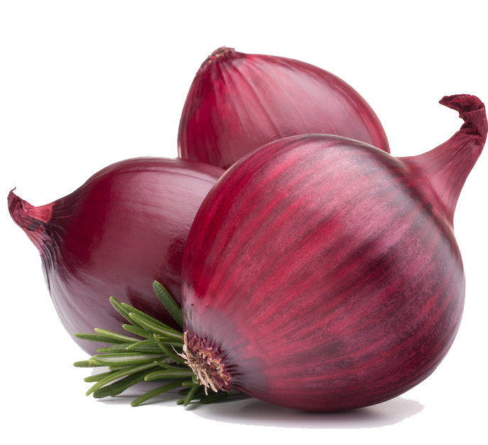 Fresh Onion HD Image Free Transparent PNG Image