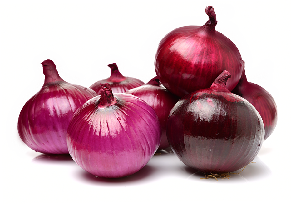 Fresh Onion Photos PNG Free Photo Transparent PNG Image