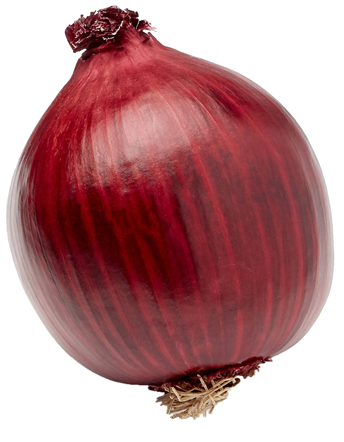 Fresh Onion PNG File HD Transparent PNG Image