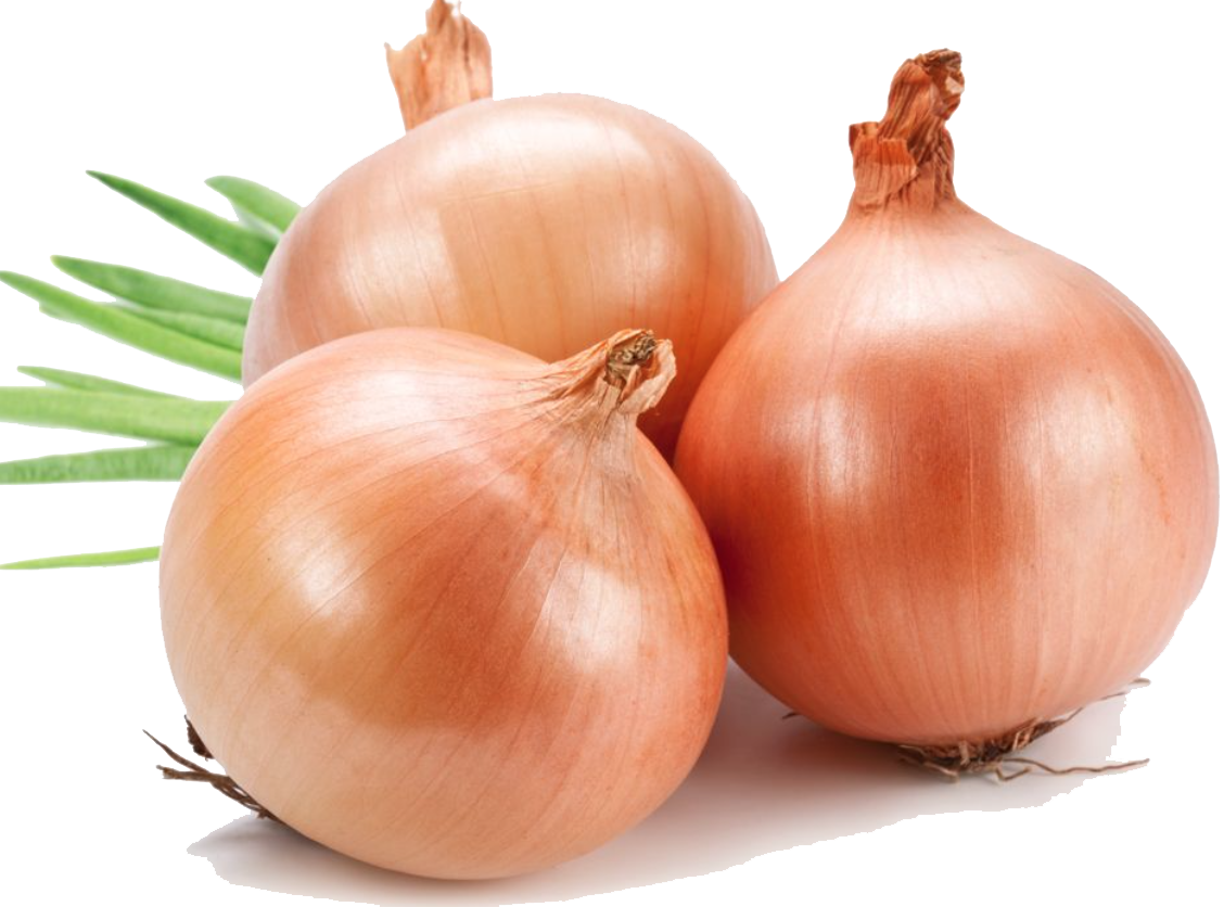 Onion Free Clipart HD Transparent PNG Image