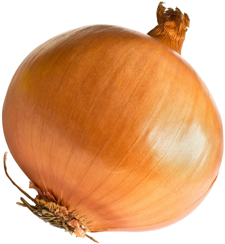 Onion Free PNG HQ Transparent PNG Image