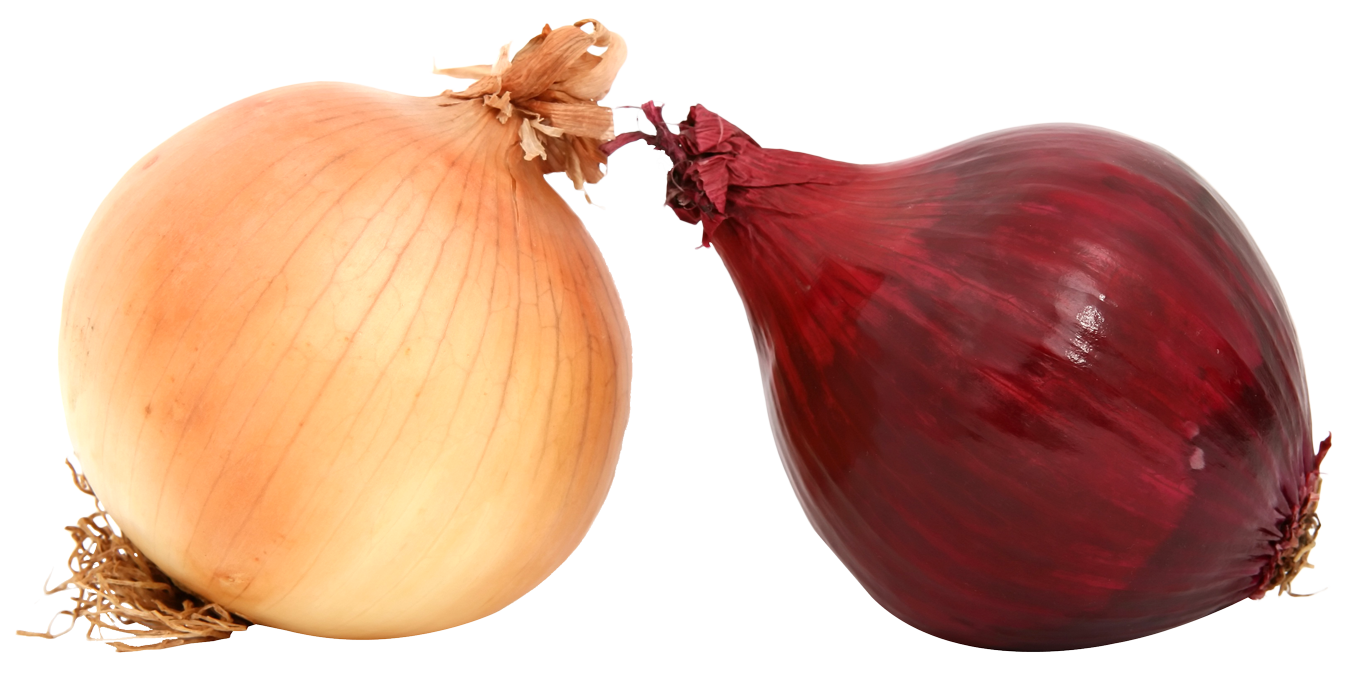 Photos Onion Free Transparent Image HD Transparent PNG Image