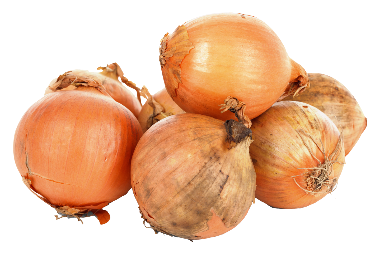 Pic Onion Download Free Image Transparent PNG Image