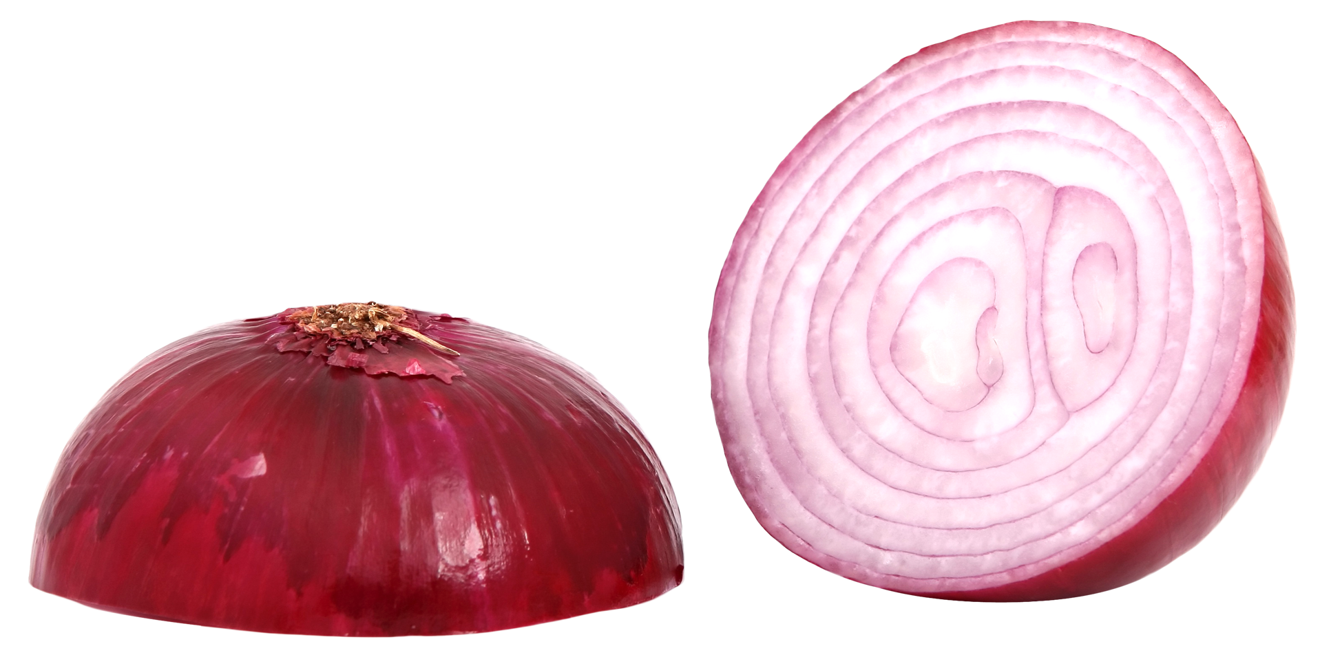 Slice Onion Download Free Image Transparent PNG Image