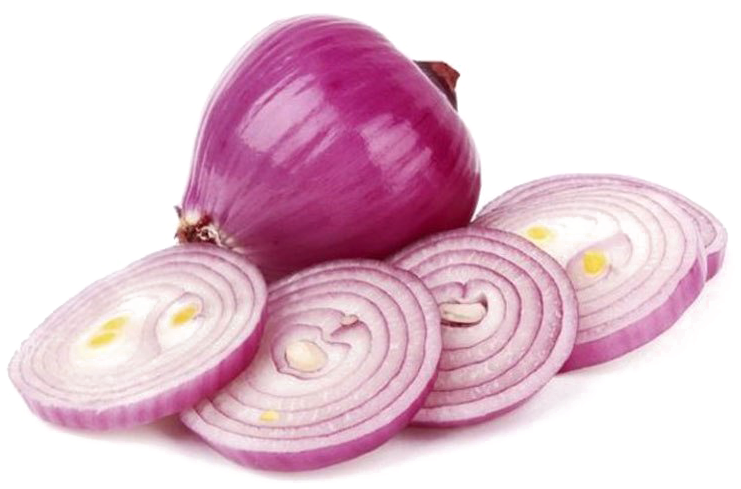 Slice Onion Free PNG HQ Transparent PNG Image