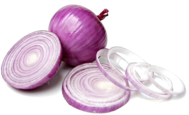 Photos Slice Onion PNG Download Free Transparent PNG Image