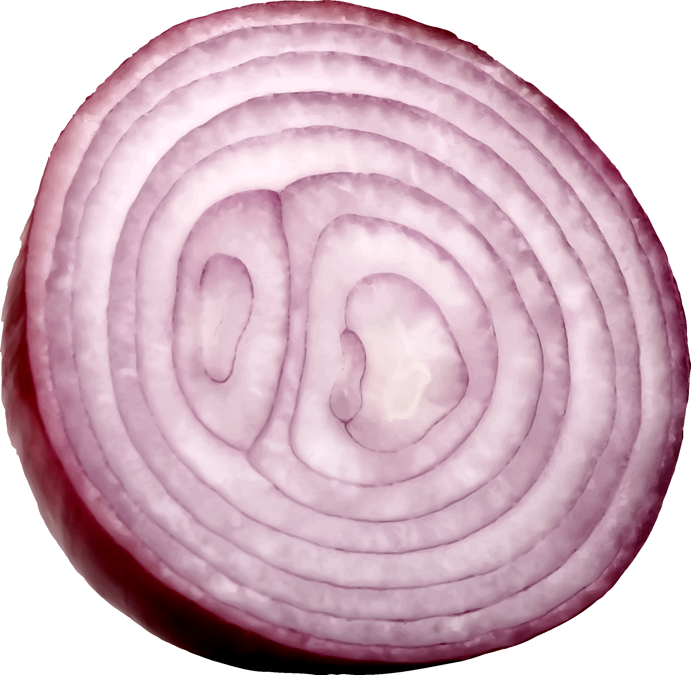 Slice Onion Free HD Image Transparent PNG Image