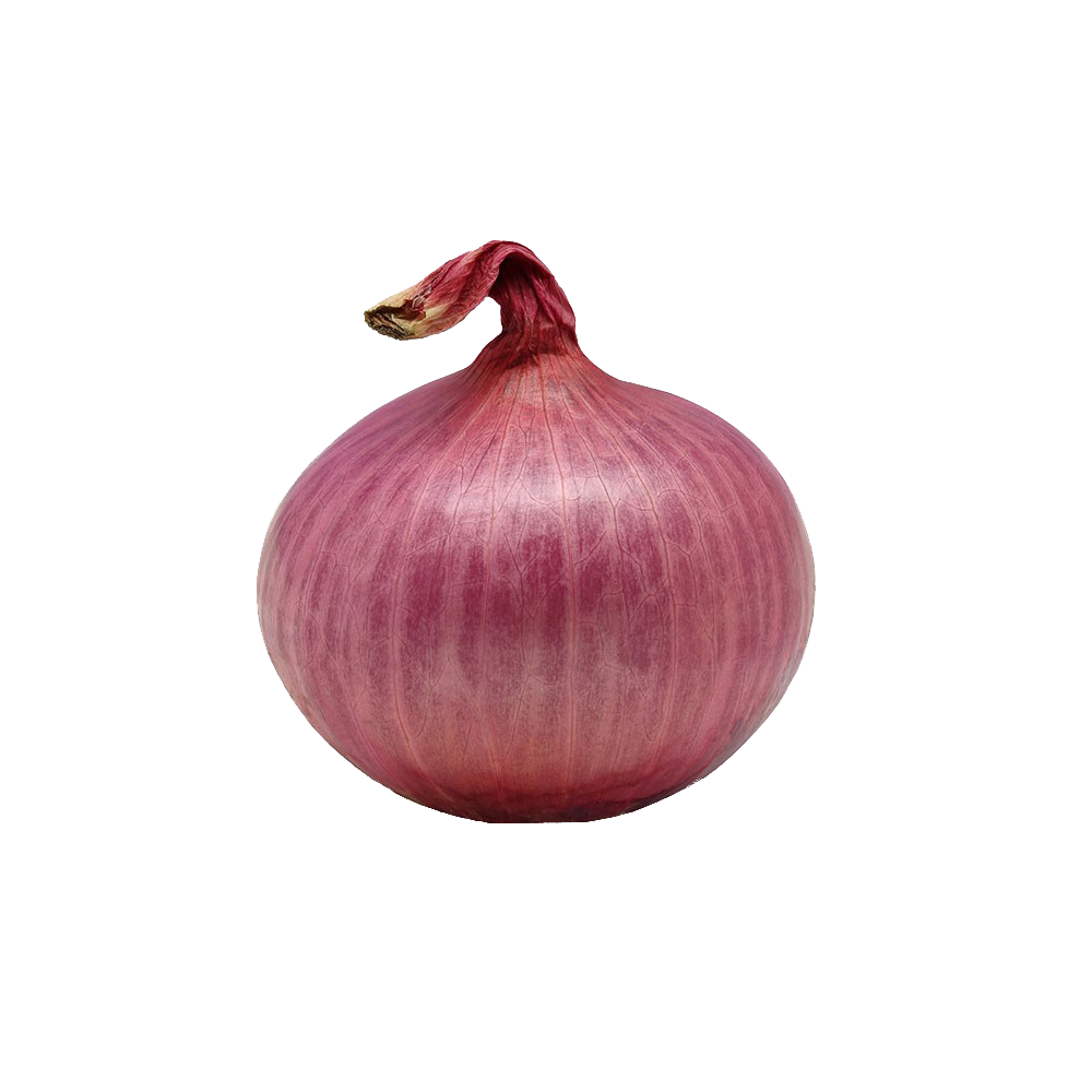 Onion Free Transparent Image HD Transparent PNG Image