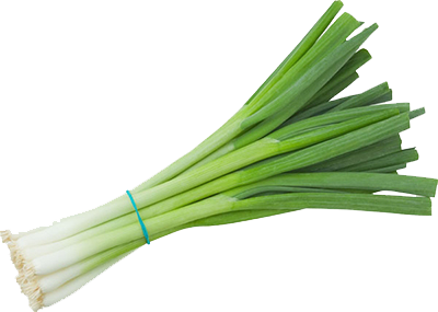 Green Onion Clipart Transparent PNG Image