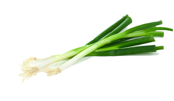 Green Onion Transparent Transparent PNG Image