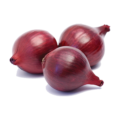 Red Onion Transparent Image Transparent PNG Image