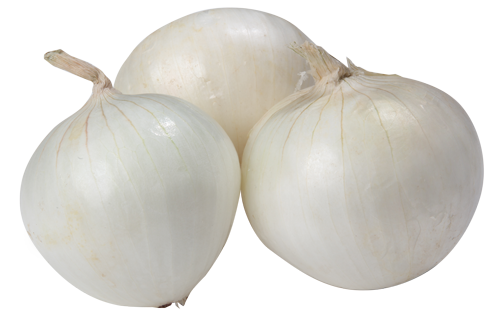 White Onion Transparent PNG Image