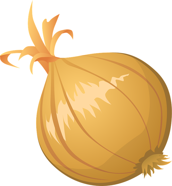 Onion Vector Clipart Transparent PNG Image