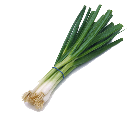 Green Onion Transparent Image Transparent PNG Image