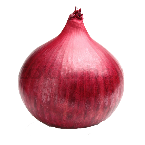 Red Onion File Transparent PNG Image