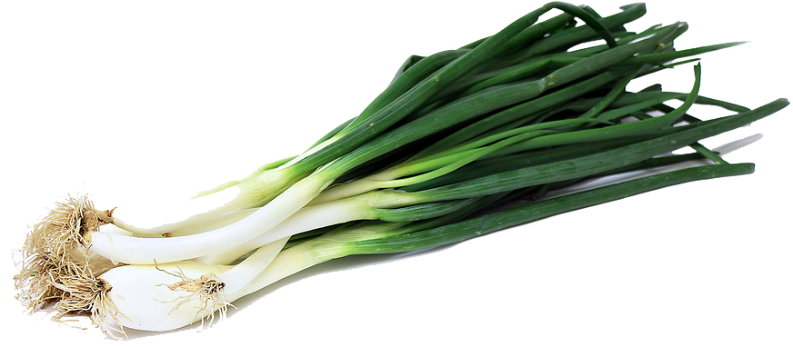 Green Onion Image Transparent PNG Image