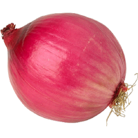 Onion Png Image Transparent PNG Image