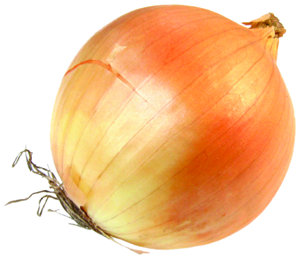 Onion Transparent Transparent PNG Image