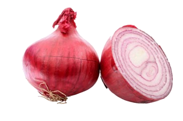 Onion Png Transparent PNG Image