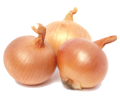 Onion Png Picture Transparent PNG Image