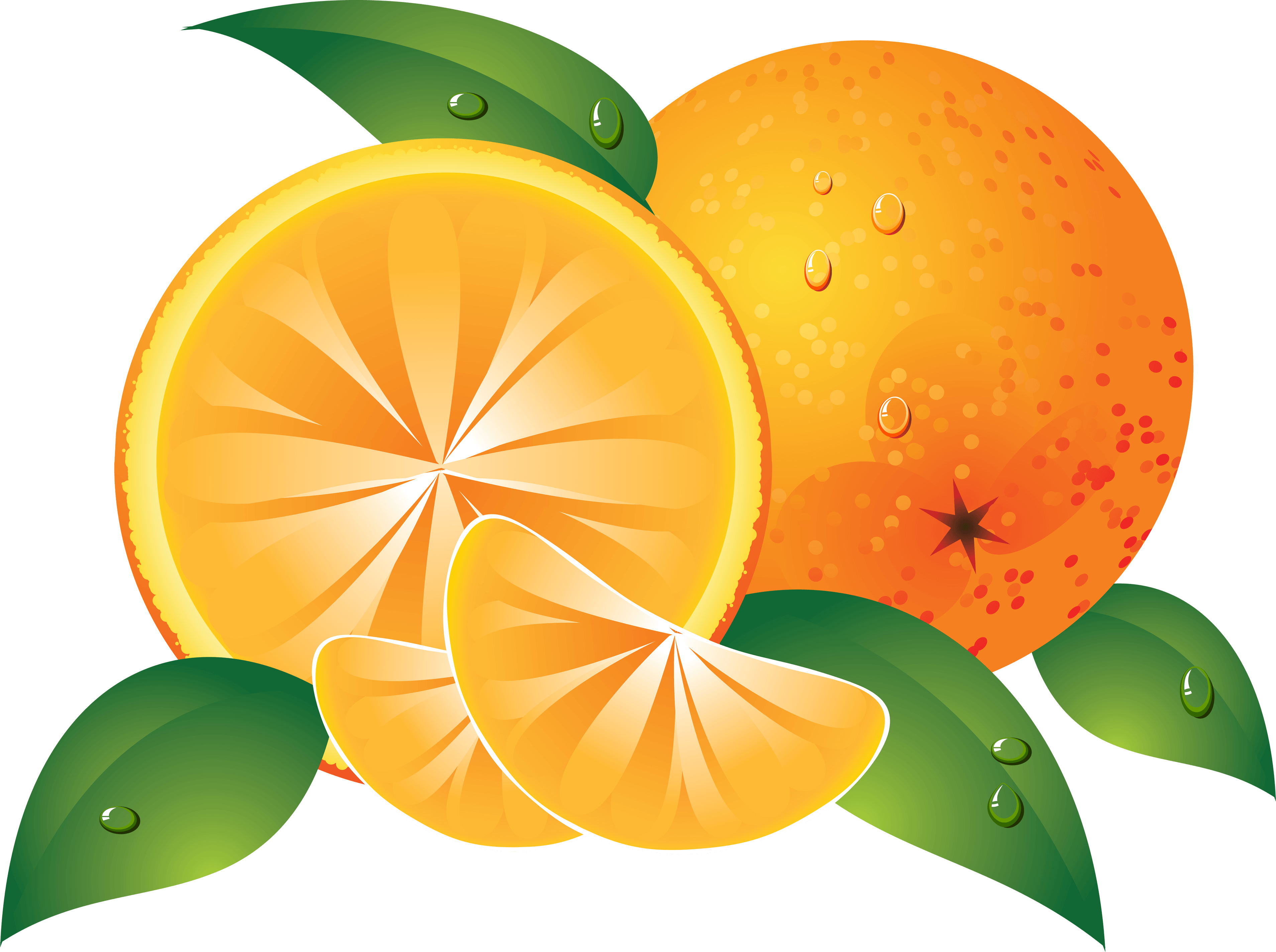 Orange Png Image Download Transparent PNG Image