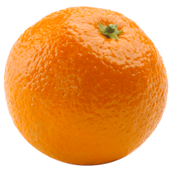 Orange Png Image Download Transparent PNG Image