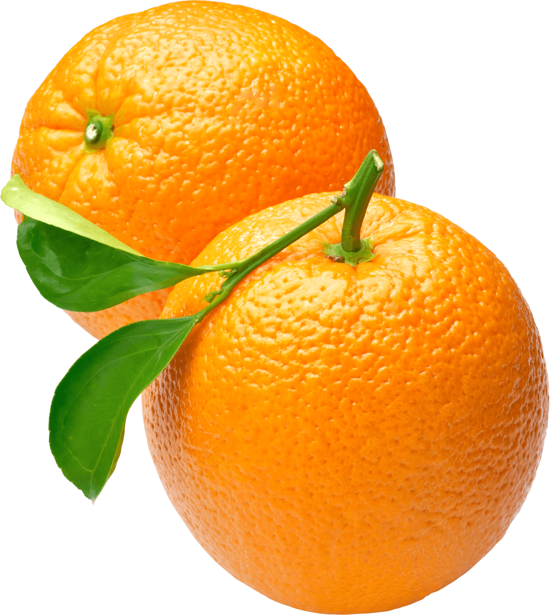 Orange Png Image Download Transparent PNG Image