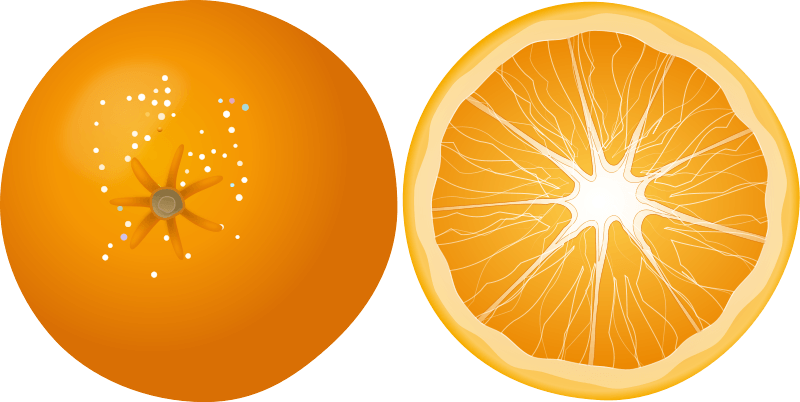 Orange Png Image Download Transparent PNG Image