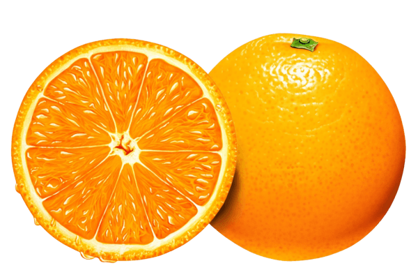 Orange Png Image Download Transparent PNG Image