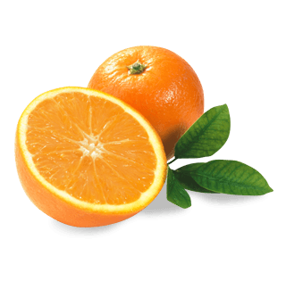 Orange Png Image Download Transparent PNG Image