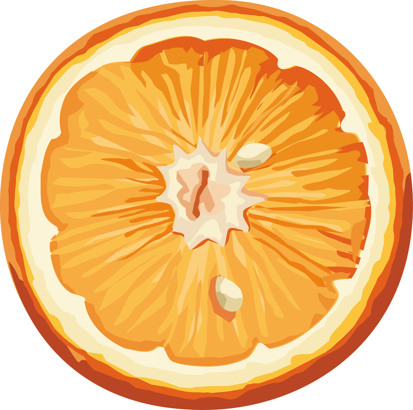 Orange Png Image Download Transparent PNG Image