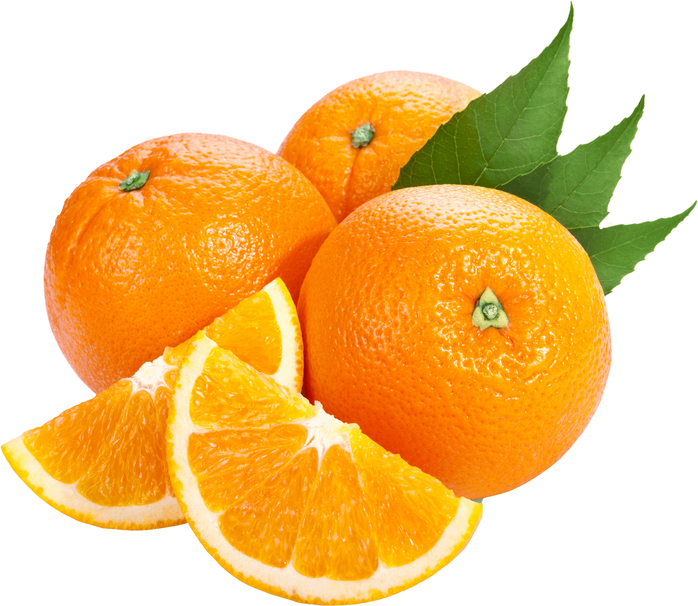 Orange Png Image Download Transparent PNG Image