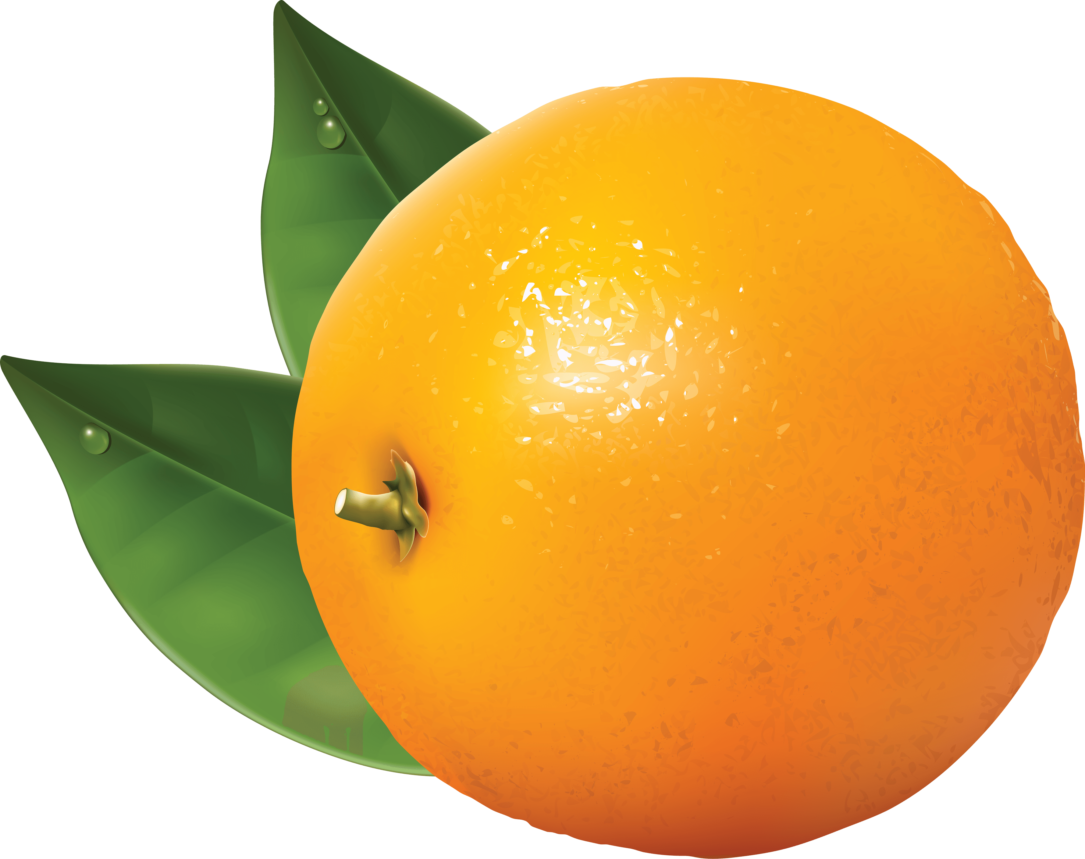 Orange Png Image Download Transparent PNG Image