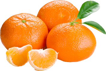 Oranges Orange Png Image Download Transparent PNG Image