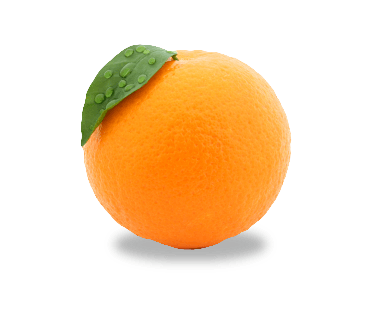 Orange Png Image Download Transparent PNG Image