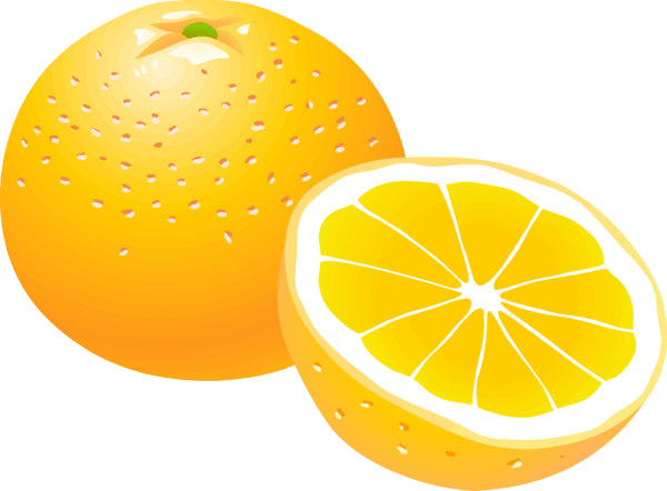 Orange Png Image Download Transparent PNG Image