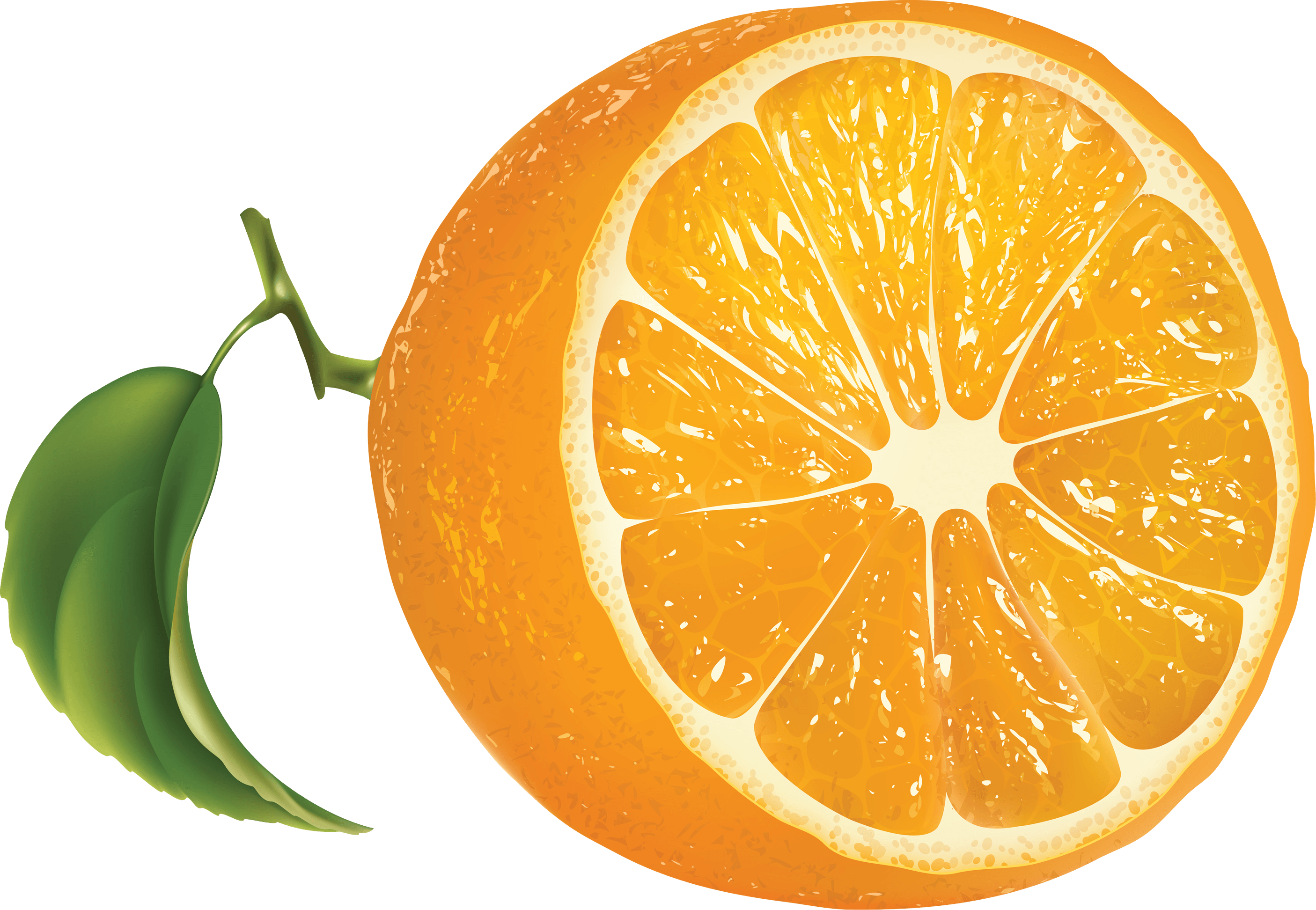 Orange Png Image Download Transparent PNG Image