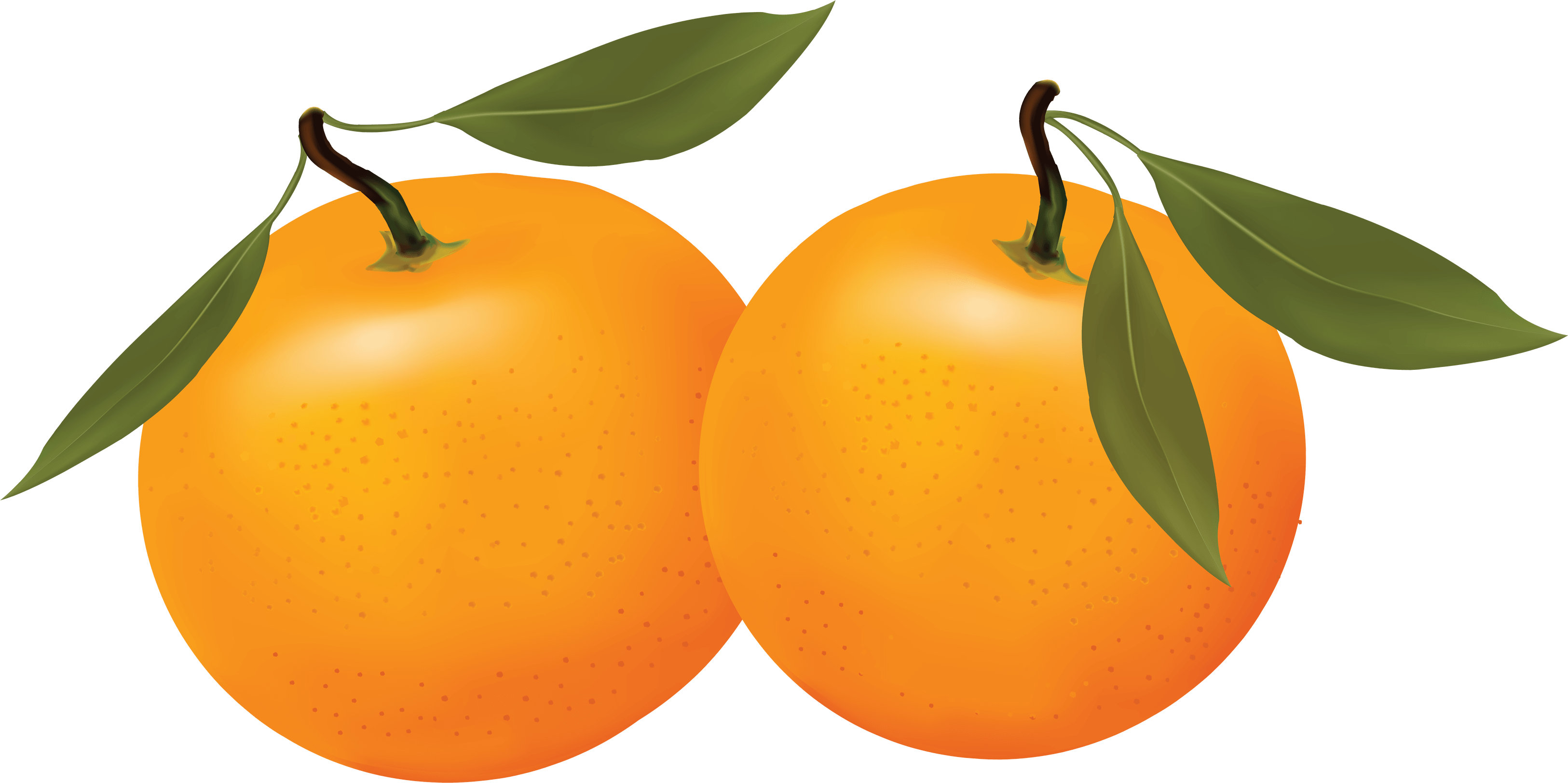 Orange Png Image Download Transparent PNG Image