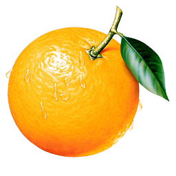 Orange Png Image Download Transparent PNG Image