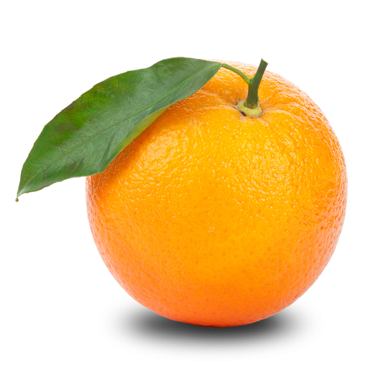 Orange Png Clipart Transparent PNG Image