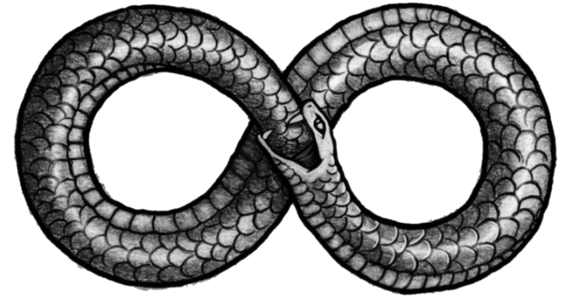 Ouroboros Png Picture Transparent PNG Image