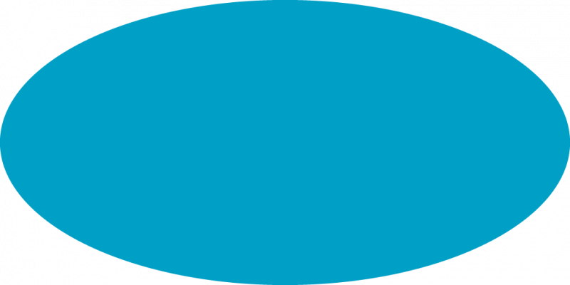 Oval Png Image Transparent PNG Image