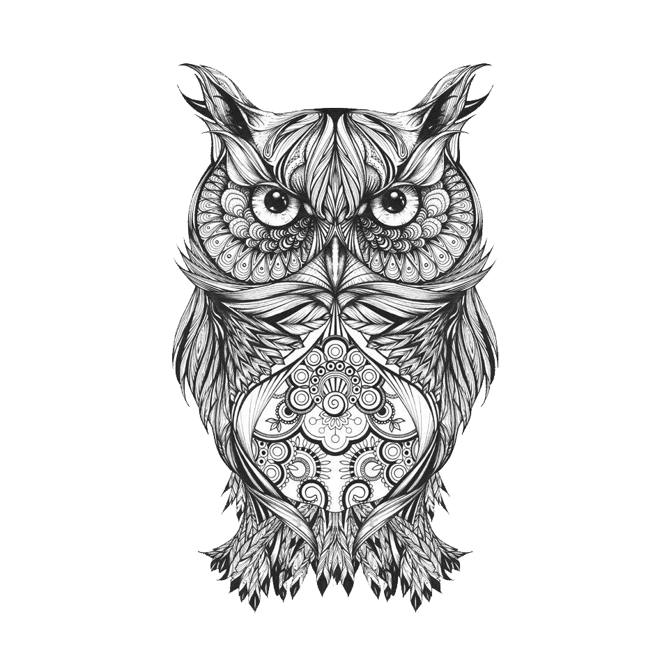 Body Owl Sketch Art Tattoo Drawing Transparent PNG Image