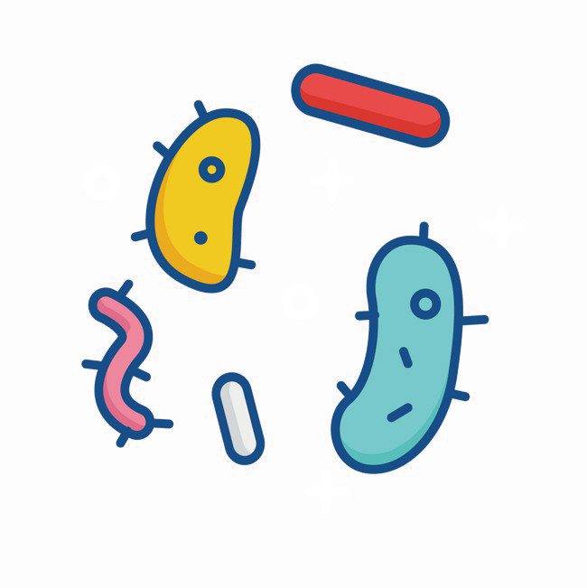 Bacteria PNG Free Photo Transparent PNG Image